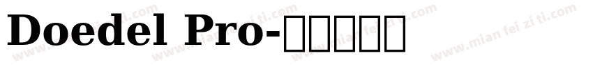 Doedel Pro字体转换